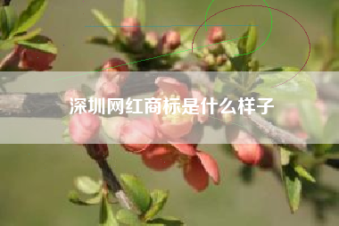 深圳网红商标是什么样子 深圳网红商标是什么样子