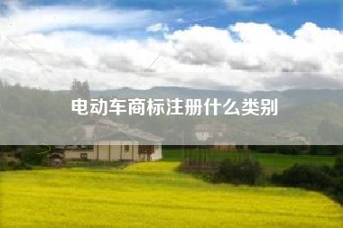 电动车商标注册什么类别