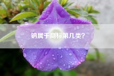 钠属于商标第几类? 钠属于商标第几类?