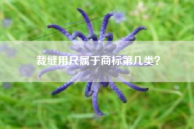 裁缝用尺属于商标第几类? 裁缝用尺属于商标第几类?