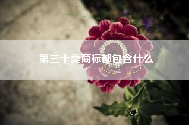 第三十类商标都包含什么 第三十类商标都包含什么