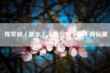 挥发碱(氨水)(去污剂)属于商标第几类? 挥发碱(氨水)(去污剂)属于商标第几类?