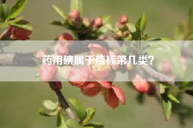 药用碘属于商标第几类? 药用碘属于商标第几类?