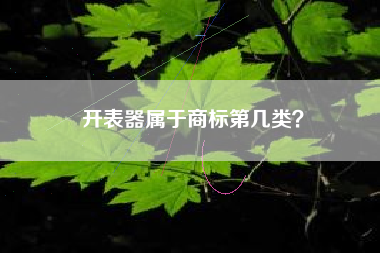 开表器属于商标第几类? 开表器属于商标第几类?