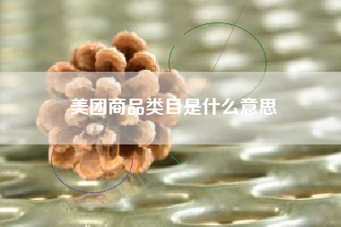 美团商品类目是什么意思