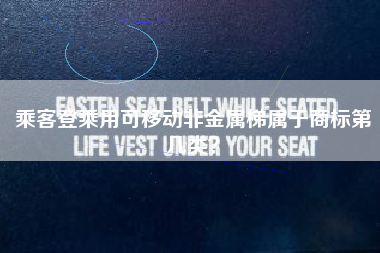 乘客登乘用可移动非金属梯属于商标第几类? 乘客登乘用可移动非金属梯属于商标第几类?