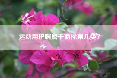 运动用护腕属于商标第几类? 运动用护腕属于商标第几类?