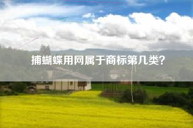 捕蝴蝶用网属于商标第几类? 捕蝴蝶用网属于商标第几类?