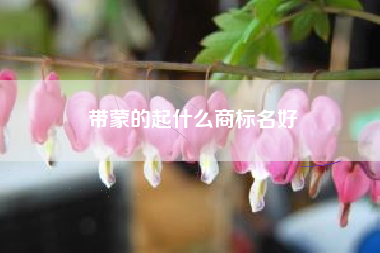 带蒙的起什么商标名好 带蒙的起什么商标名好