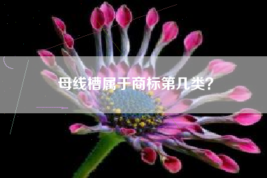 母线槽属于商标第几类? 母线槽属于商标第几类?