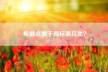 电触点属于商标第几类? 电触点属于商标第几类?