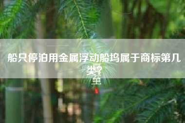 船只停泊用金属浮动船坞属于商标第几类? 船只停泊用金属浮动船坞属于商标第几类?