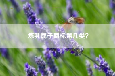 炼乳属于商标第几类? 炼乳属于商标第几类?