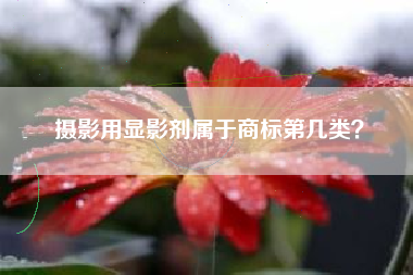 摄影用显影剂属于商标第几类? 摄影用显影剂属于商标第几类?