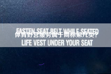 体育野营服务属于商标第几类? 体育野营服务属于商标第几类?