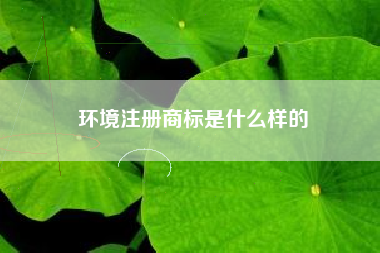 环境注册商标是什么样的