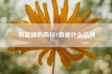 有蜜蜂的商标T恤是什么品牌 有蜜蜂的商标T恤是什么品牌