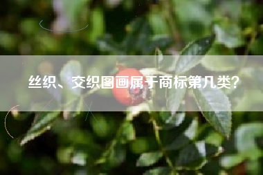 丝织、交织图画属于商标第几类? 丝织、交织图画属于商标第几类?