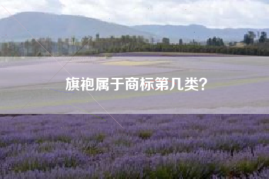 旗袍属于商标第几类? 旗袍属于商标第几类?