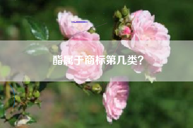 酯属于商标第几类? 酯属于商标第几类?