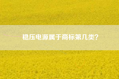稳压电源属于商标第几类? 稳压电源属于商标第几类?