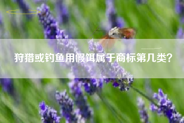 狩猎或钓鱼用假饵属于商标第几类? 狩猎或钓鱼用假饵属于商标第几类?