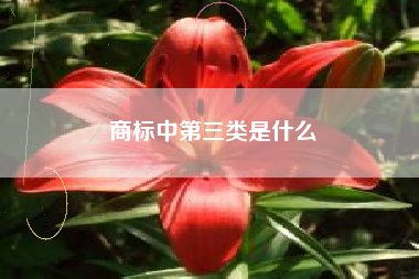 商标中第三类是什么 商标中第三类是什么