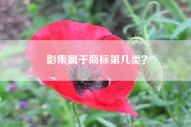 影集属于商标第几类? 影集属于商标第几类?