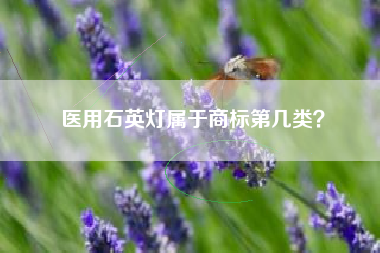 医用石英灯属于商标第几类? 医用石英灯属于商标第几类?