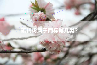 碳精粉属于商标第几类? 碳精粉属于商标第几类?