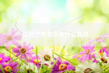商标注册类型是什么意思