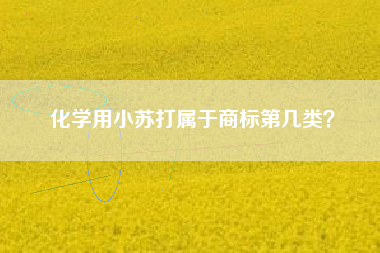化学用小苏打属于商标第几类? 化学用小苏打属于商标第几类?