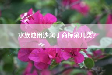水族池用沙属于商标第几类? 水族池用沙属于商标第几类?