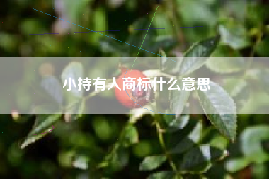 小持有人商标什么意思 小持有人商标什么意思