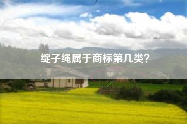 绽子绳属于商标第几类? 绽子绳属于商标第几类?