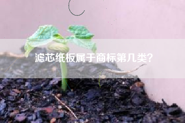 滤芯纸板属于商标第几类? 滤芯纸板属于商标第几类?