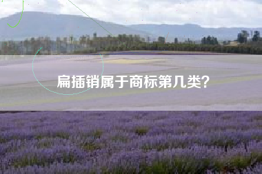 扁插销属于商标第几类? 扁插销属于商标第几类?