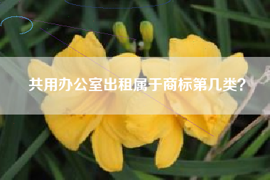 共用办公室出租属于商标第几类? 共用办公室出租属于商标第几类?