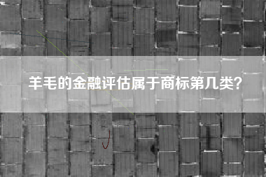 羊毛的金融评估属于商标第几类? 羊毛的金融评估属于商标第几类?