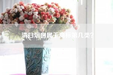 清扫烟囱属于商标第几类? 清扫烟囱属于商标第几类?