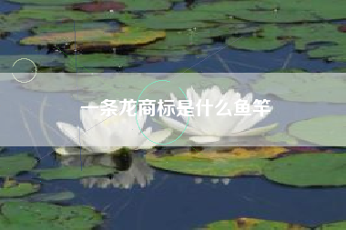 一条龙商标是什么鱼竿 一条龙商标是什么鱼竿