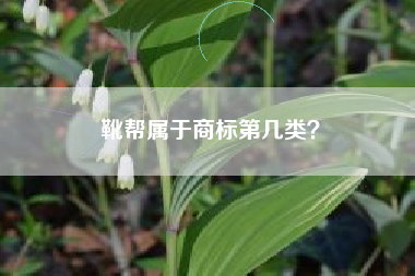 靴帮属于商标第几类? 靴帮属于商标第几类?