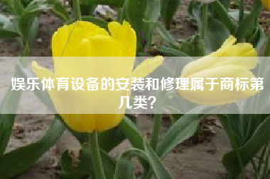 娱乐体育设备的安装和修理属于商标第几类? 娱乐体育设备的安装和修理属于商标第几类?