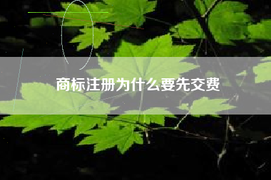 商标注册为什么要先交费