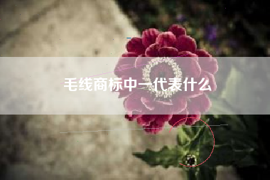 毛线商标中一代表什么 毛线商标中一代表什么