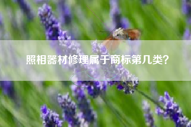 照相器材修理属于商标第几类? 照相器材修理属于商标第几类?