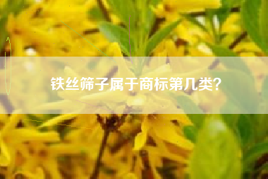 铁丝筛子属于商标第几类? 铁丝筛子属于商标第几类?