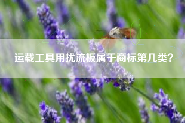 运载工具用扰流板属于商标第几类? 运载工具用扰流板属于商标第几类?