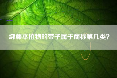 绑藤本植物的带子属于商标第几类? 绑藤本植物的带子属于商标第几类?