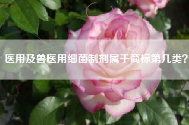 医用及兽医用细菌制剂属于商标第几类? 医用及兽医用细菌制剂属于商标第几类?